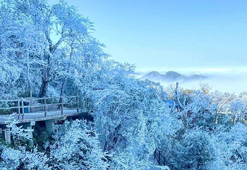 莽山五指峰景区第 84 张图片