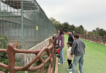老爷山第 25 张图片