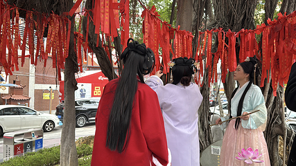 泉州宋元古城第 22 张图片