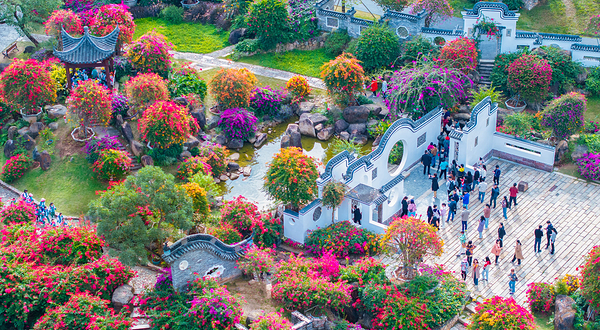 马岭观花植物园