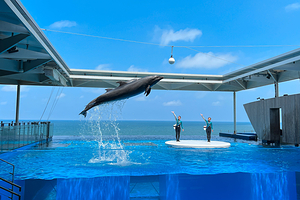 上越市立水族博物馆