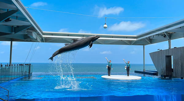 上越市立水族博物馆