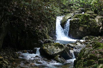千岛湖红山谷景区第 16 张图片
