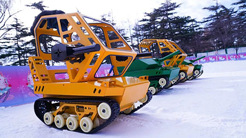 玉渊潭公园冰雪季