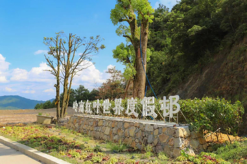 岭南红叶世界第 7 张图片