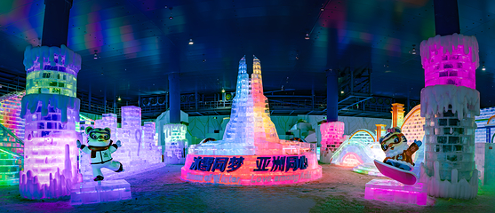 哈尔滨冰雪大世界第 48 张图片
