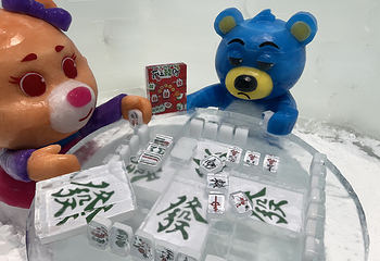 泰迪寰球冰雪世界第 23 张图片