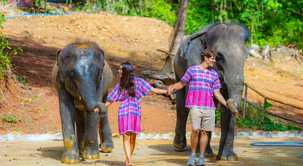 芭东拥抱大象保护营
