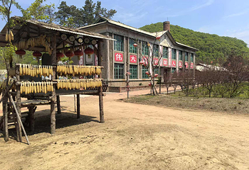 知青城第 3 张图片