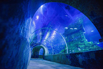 宁夏幻太奇海洋公园第 17 张图片