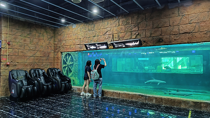 梅溪海洋公园(步步高梅溪新天地店)第 48 张图片
