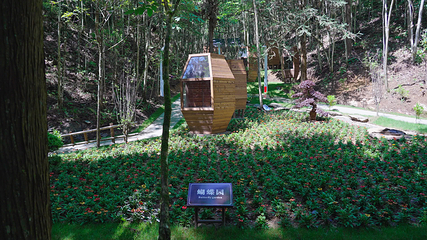 井冈山植物园第 9 张图片