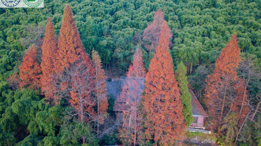 莫干山风景名胜区