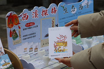 西溪国家湿地公园第 138 张图片