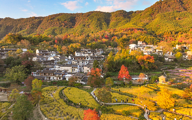 塔川第 1 张图片