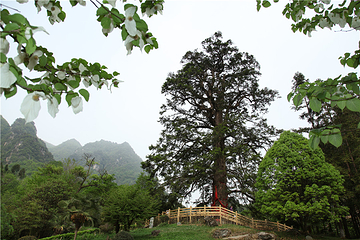 神农坛风景区第 9 张图片