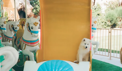 HiONE啵比星球第 11 张图片