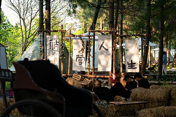 大象露营Elephant Camping第 21 张图片