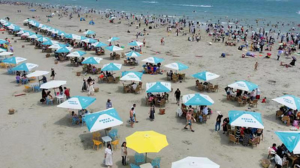 北海银滩景区第 61 张图片