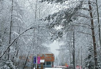 长白山红松王滑雪场第 9 张图片