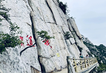 嵩山少林景区第 41 张图片