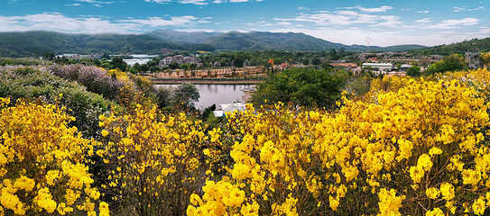 蓝田紫林旅游度假区第 40 张图片