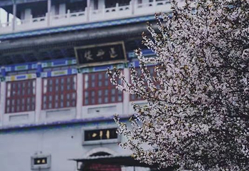青华山卧佛寺景区第 16 张图片