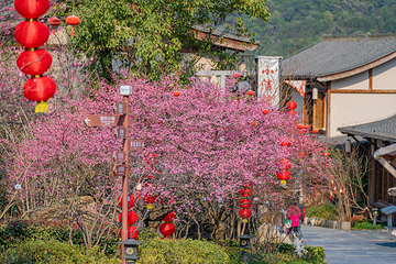 葛仙村度假区第 123 张图片