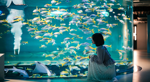 神户都市型水族馆 AQUARIUM×ART átoa