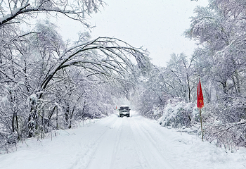 雪乡故里第 33 张图片