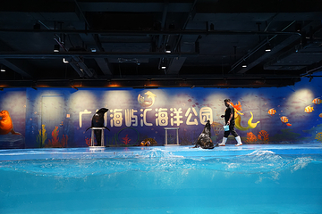广州海屿汇海洋公园第 7 张图片