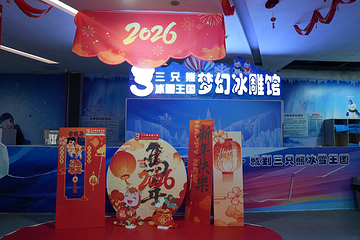 三只熊冰雪王国第 28 张图片