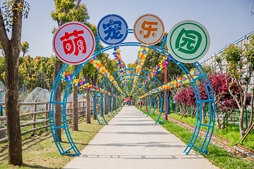 华东开心农场第 2 张图片