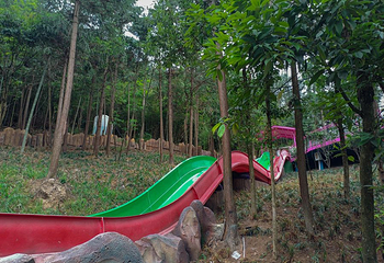 黄山醉温泉第 56 张图片