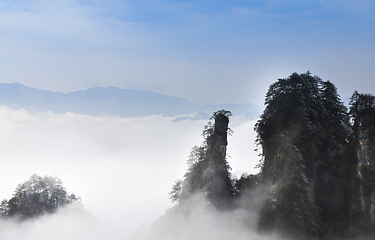 光雾山旅游景区第 55 张图片