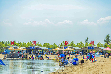 呼兰河口湿地公园第 7 张图片