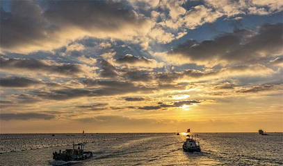 爱伦湾海洋牧场第 45 张图片