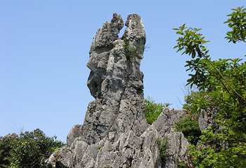 华蓥山第 15 张图片