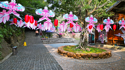 姑婆山旅游度假区第 14 张图片