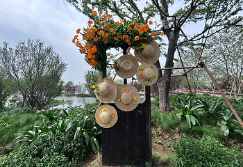 紫薇都市田园第 61 张图片