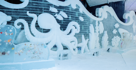 无锡热雪奇迹第 52 张图片