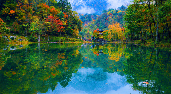 二郎山喇叭河风景区