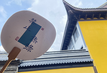 天宁宝塔第 27 张图片