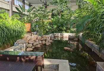 缥缈间温泉第 19 张图片