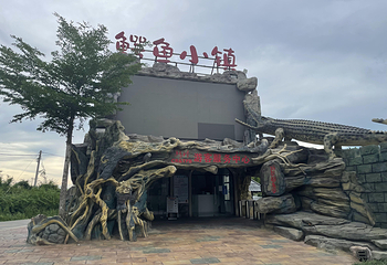 鳄珍鳄鱼园第 26 张图片
