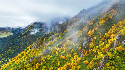 祁连山冰沟河景区第 51 张图片