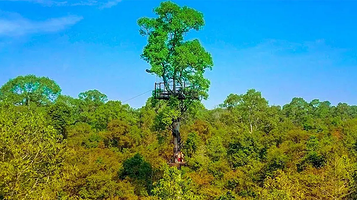 吴哥窟丛林飞索体验