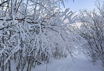 北大湖滑雪度假区第 31 张图片