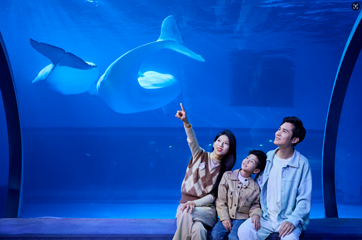 正佳极地海洋世界第 56 张图片