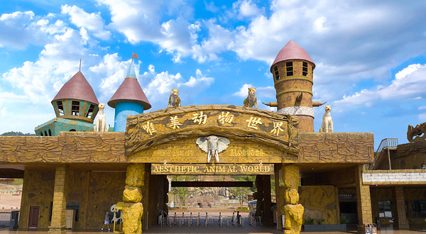 唯美动物世界